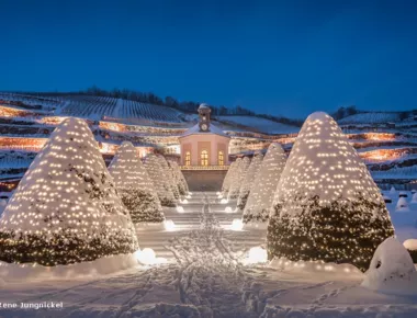 Weihnachtlicher Zauber auf Schloss Wackerbarth an den Adventswochenenden