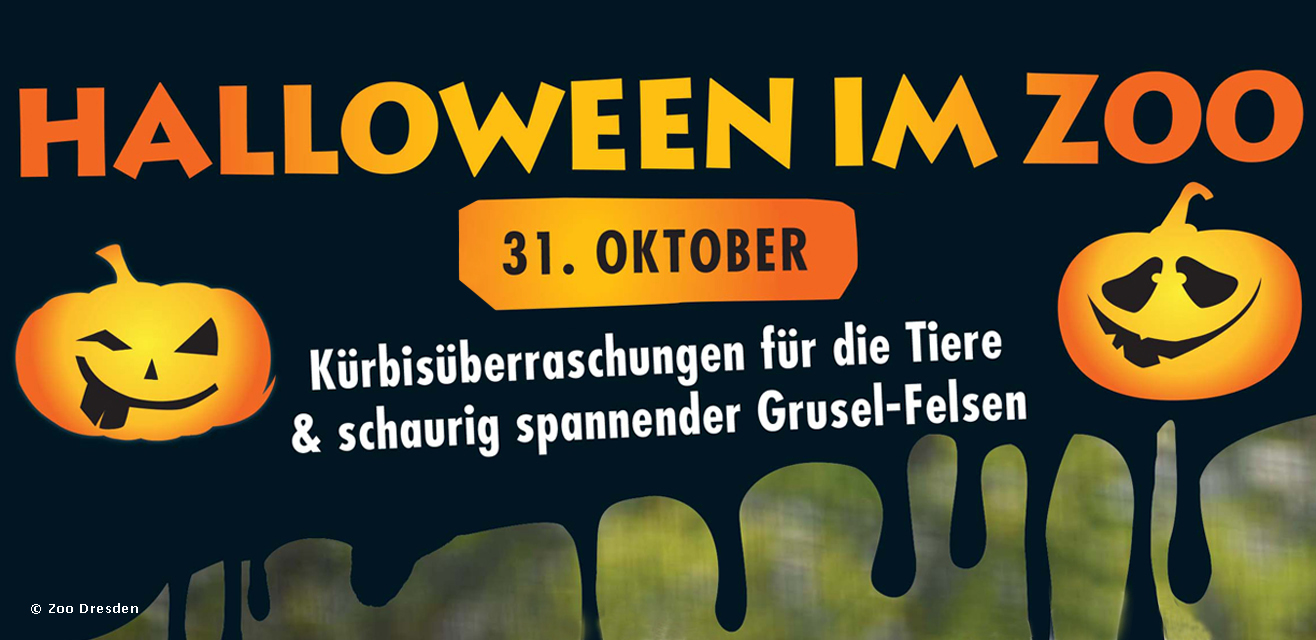 , schönes Halloween-Wochenende im Zoo Dresden. Vom 28. – 31. Oktober werden die Zoobewohner mit liebevoll geschnitzten Kürbissen überrascht.