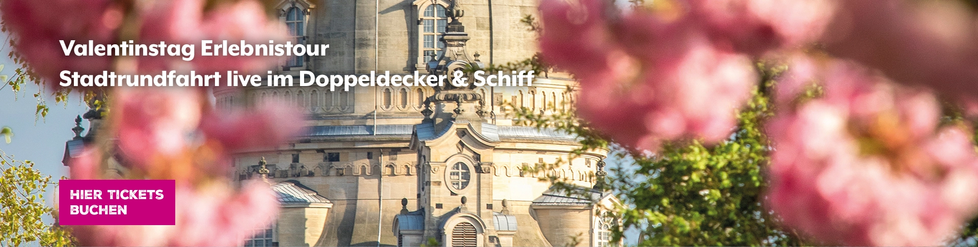 Valentinstag Erlebnistour Dresdner Stradtrundfahrten