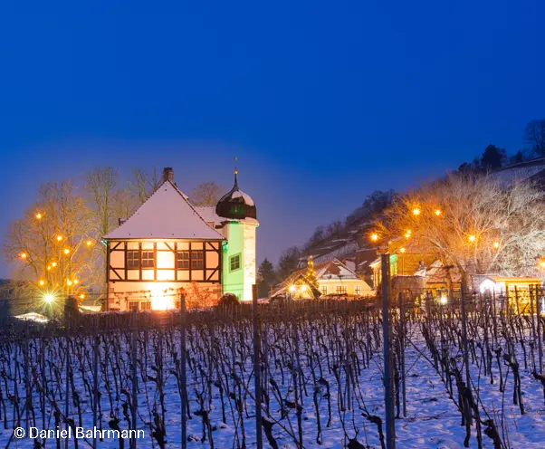 Weingergglühen in Hoflössnitz mit der Stadtrundfahrt Dresden