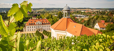 Genussausflug zum Schloss Wackerbarth mit Busfahrt, Weinbergwanderung & Weinverkostung