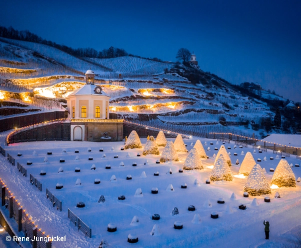 Im Advent ist das Erlebnisweingut Schloss Wackerbarth festlich beleuchtet. Die Wintertour der Roten Doppeldecker bringt Sie hin.