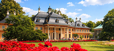 Ausflug zur Kamelienblüte in Park & Schloss Pillnitz mit Kaffee & Kuchen