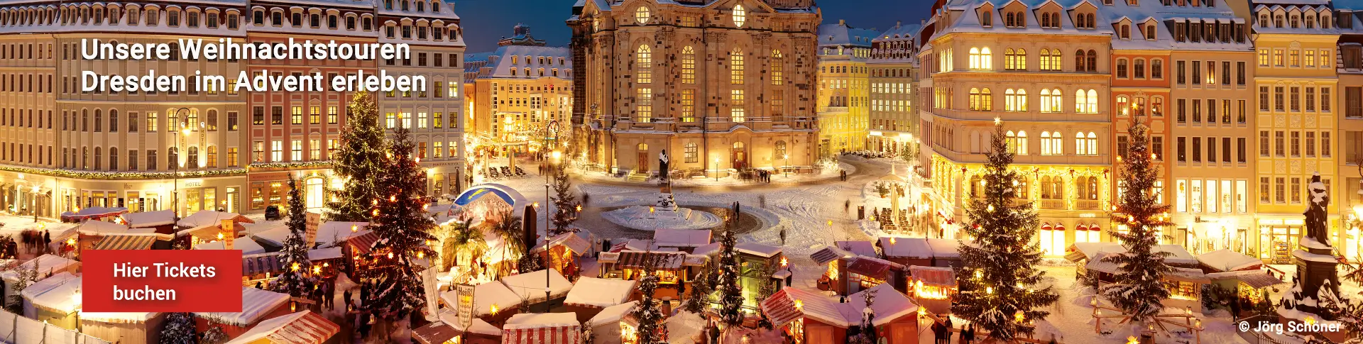 Weihnachtliche Touren durch Dresden im Advent vorbei am festlich  geschmückten Neumarkt
